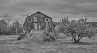 Tadoussac    |   36  /  42    | 